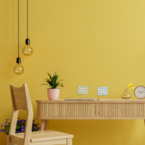 Ga voor Geel met de FLexa kleur van het Jaar 2025 - True Joy